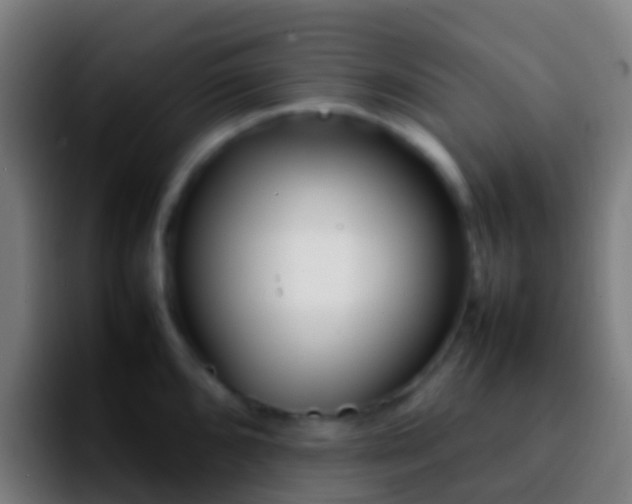 X0000092271096200709211133