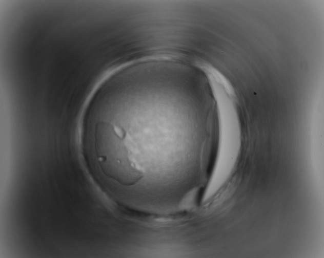 X0000092271099200709211132