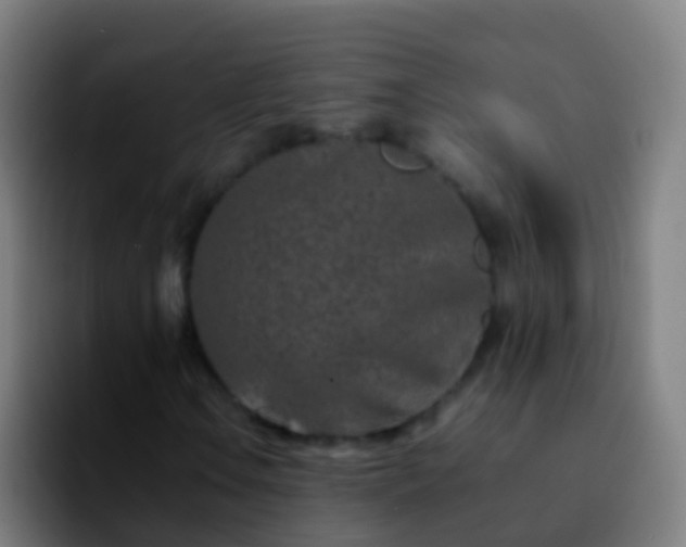X0000092271106200709211132