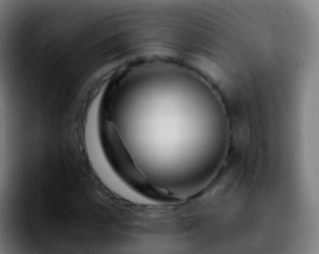 X0000092271112200709211132