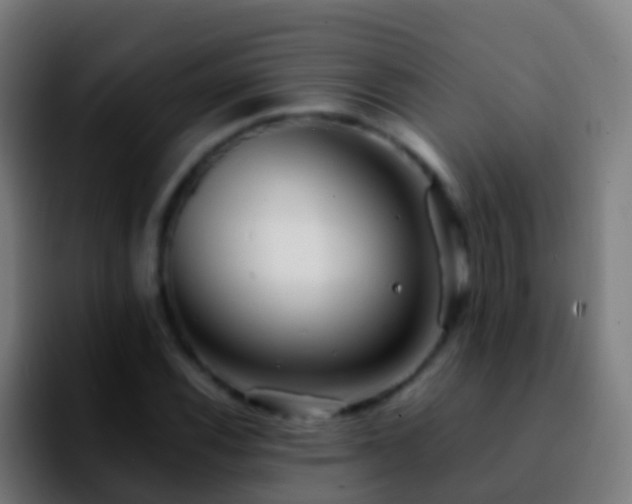 X0000092271116200709211132