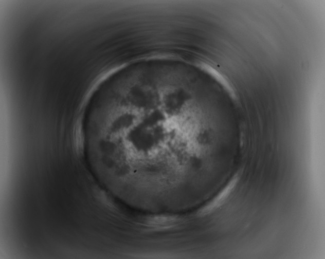 X0000092271117200709211132