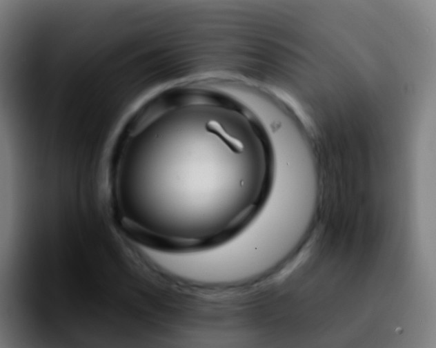 X0000092271118200709211132