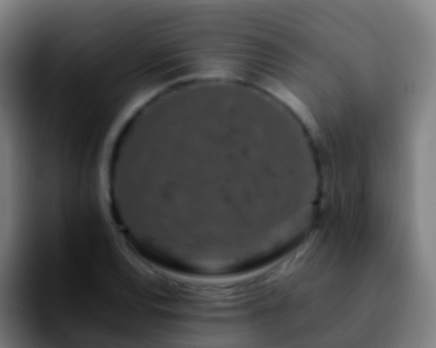 X0000092271120200709211132