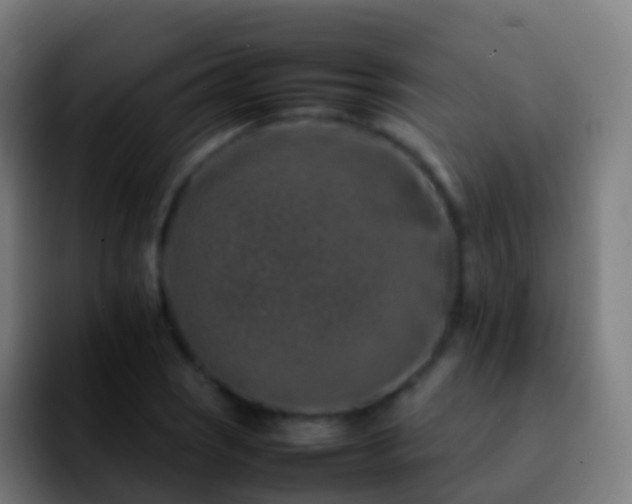 X0000092271121200709211132