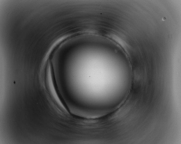 X0000092271123200709211132