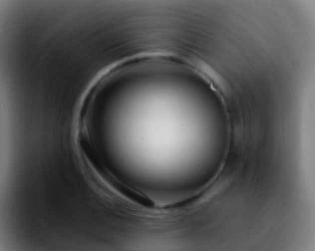 X0000092271124200709211132