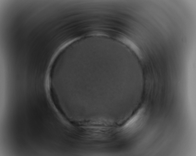 X0000092271125200709211132