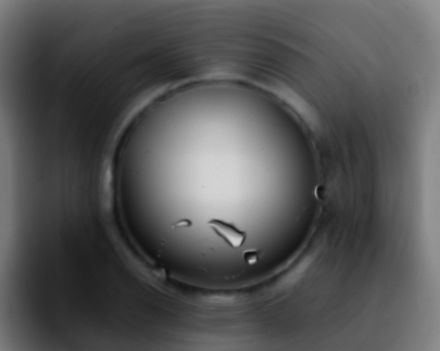 X0000092271126200709211132