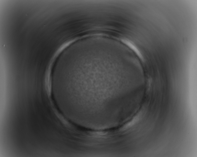 X0000092271127200709211132