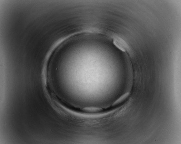X0000092271128200709211132