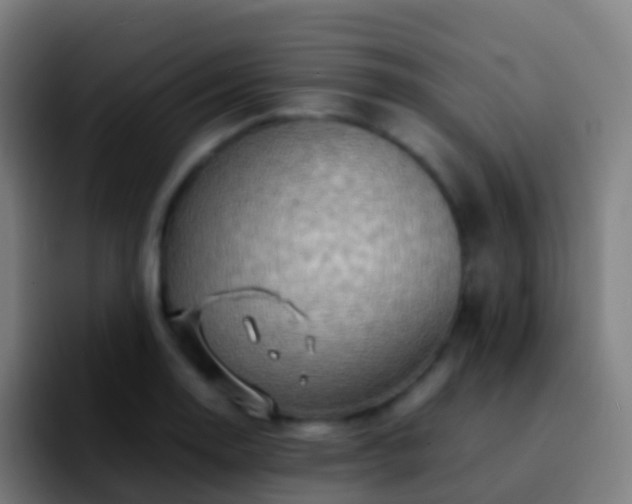 X0000092271130200709211132