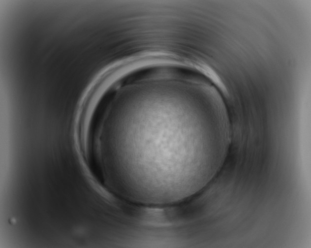 X0000092271132200709211132