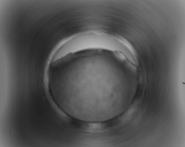X0000092271144200709211132