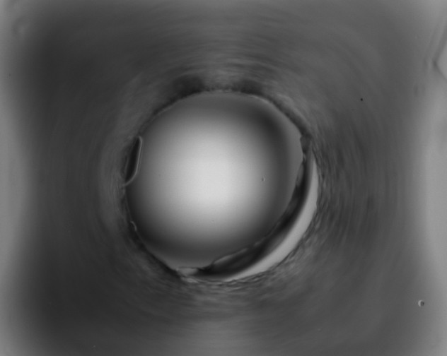 X0000092271153200709211132