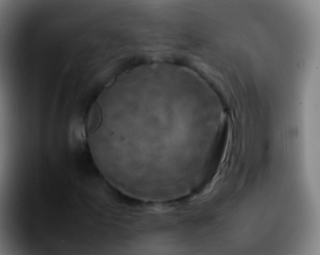 X0000092271155200709211132