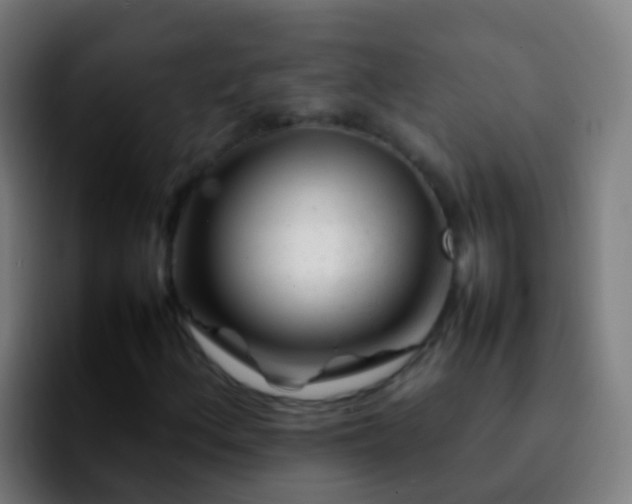 X0000092271156200709211132