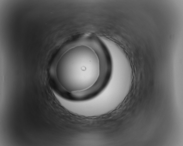 X0000092271157200709211132