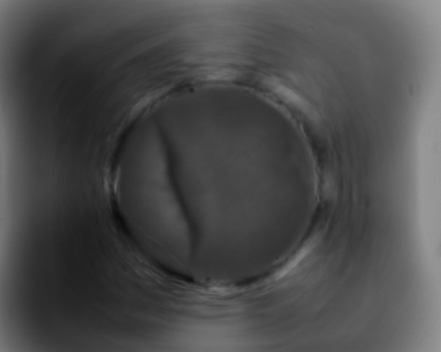 X0000092271161200709211132