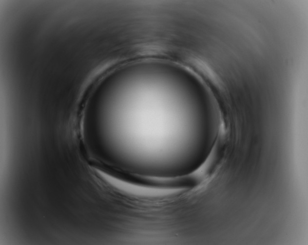 X0000092271164200709211132