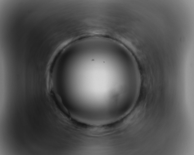 X0000092271171200709211132