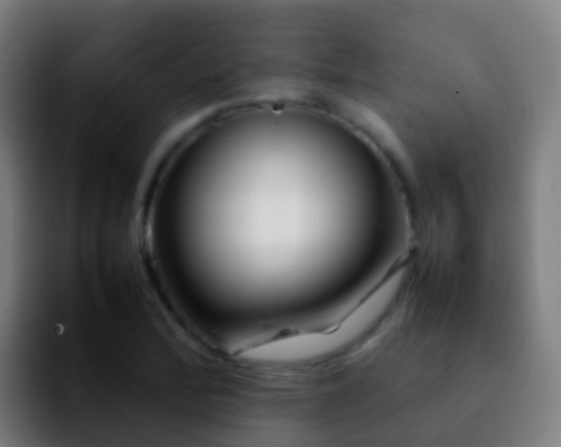X0000092271172200709211132