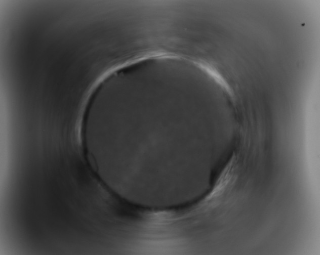 X0000092271173200709211132
