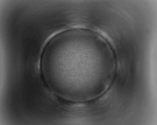 X0000092271174200709211132