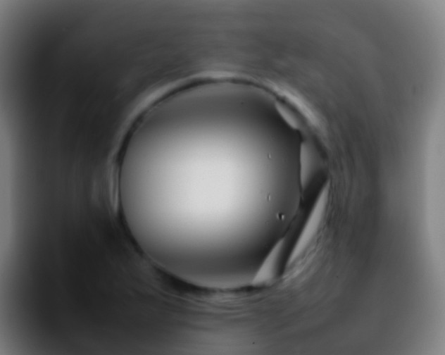 X0000092271175200709211132