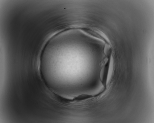 X0000092271179200709211132