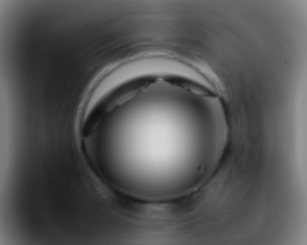 X0000092271181200709211132