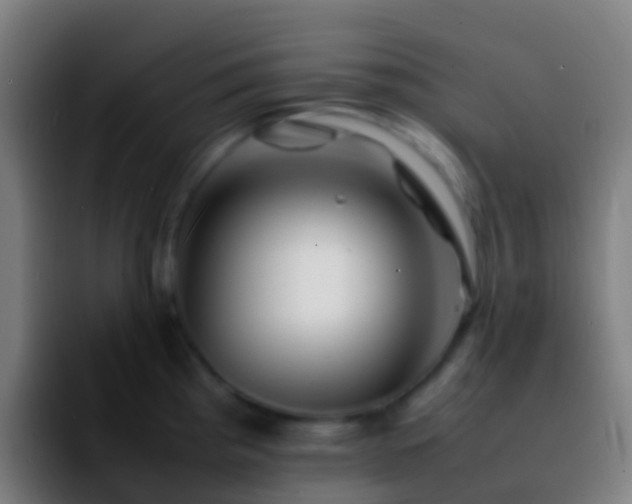 X0000092271193200709211131