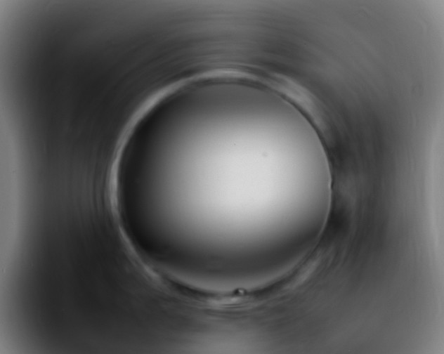 X0000092271199200709211131