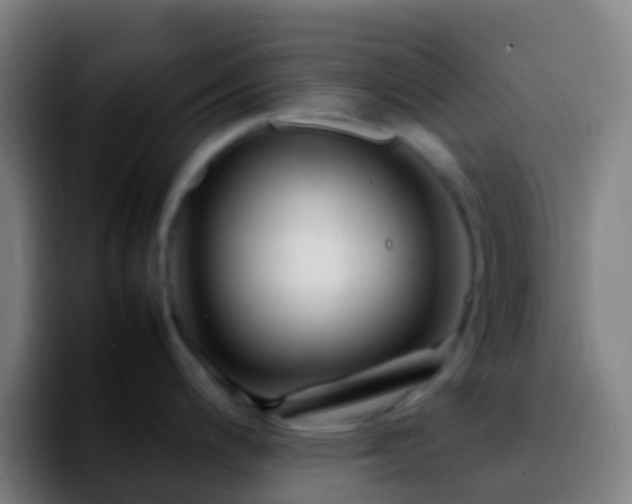 X0000092271200200709211131