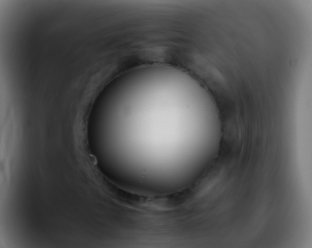 X0000092271201200709211131