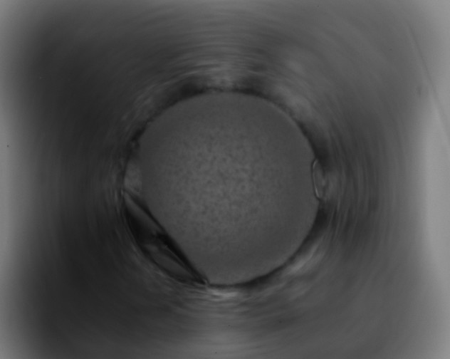 X0000092271202200709211131