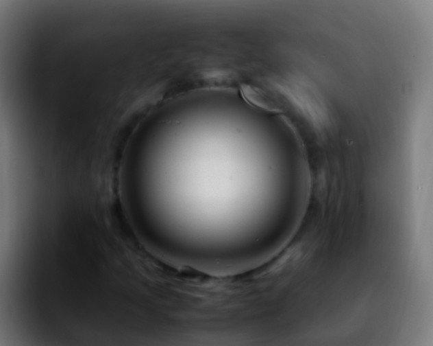 X0000092271205200709211131