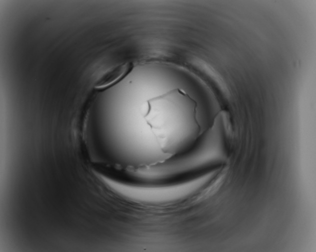 X0000092271210200709211131