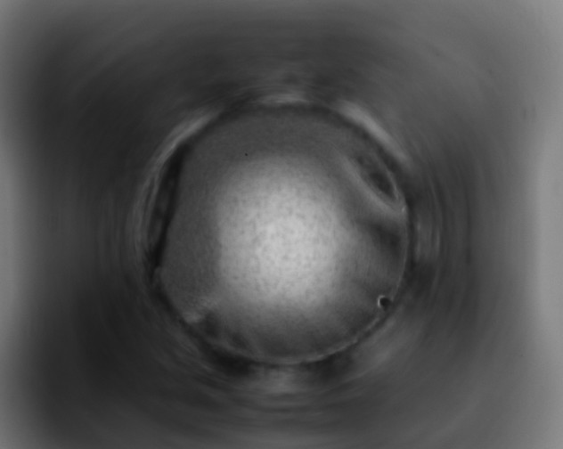 X0000092271213200709211131