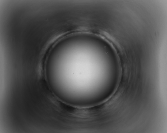 X0000092271215200709211131