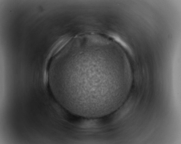 X0000092271221200709211131