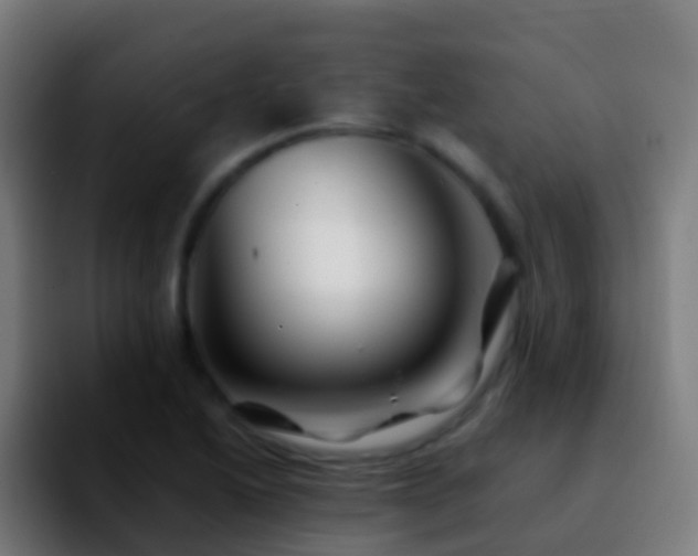 X0000092271222200709211131