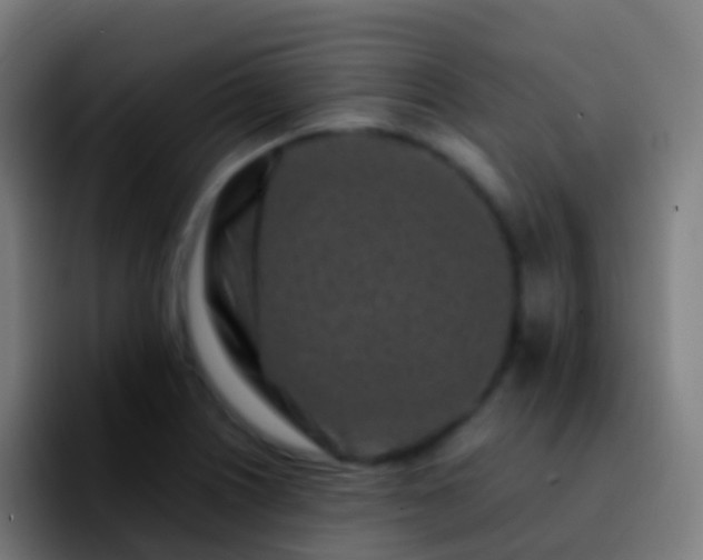 X0000092271226200709211131