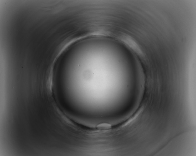 X0000092271228200709211131