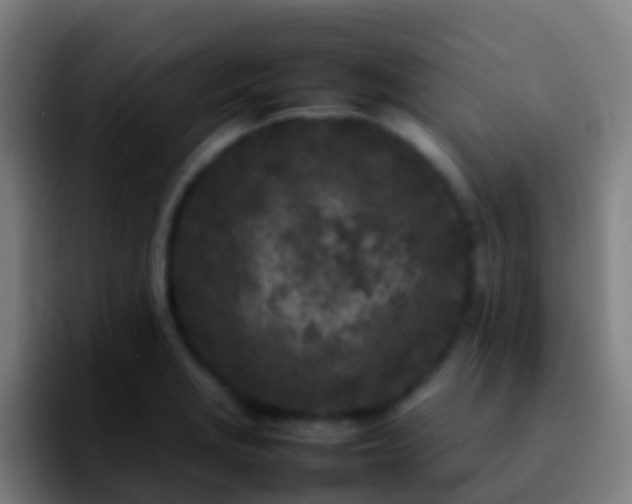X0000092271229200709211131