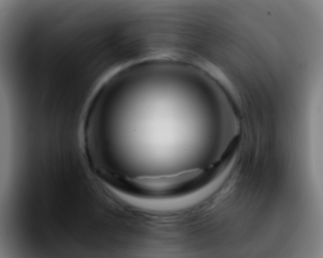 X0000092271230200709211131