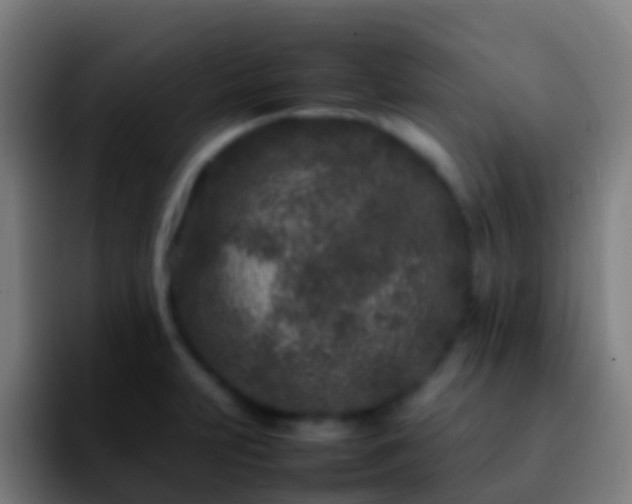 X0000092271231200709211131