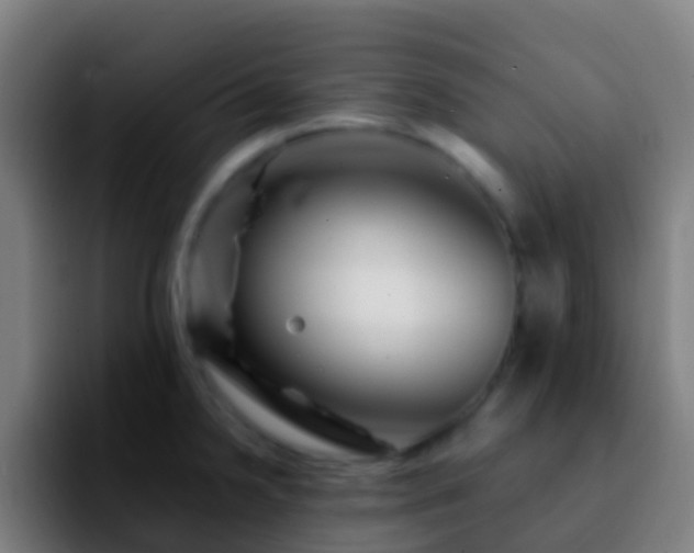 X0000092271238200709211131