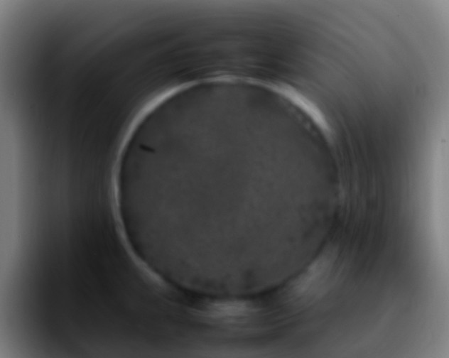 X0000092271239200709211131
