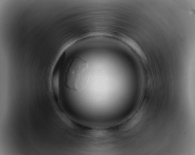 X0000092271242200709211131